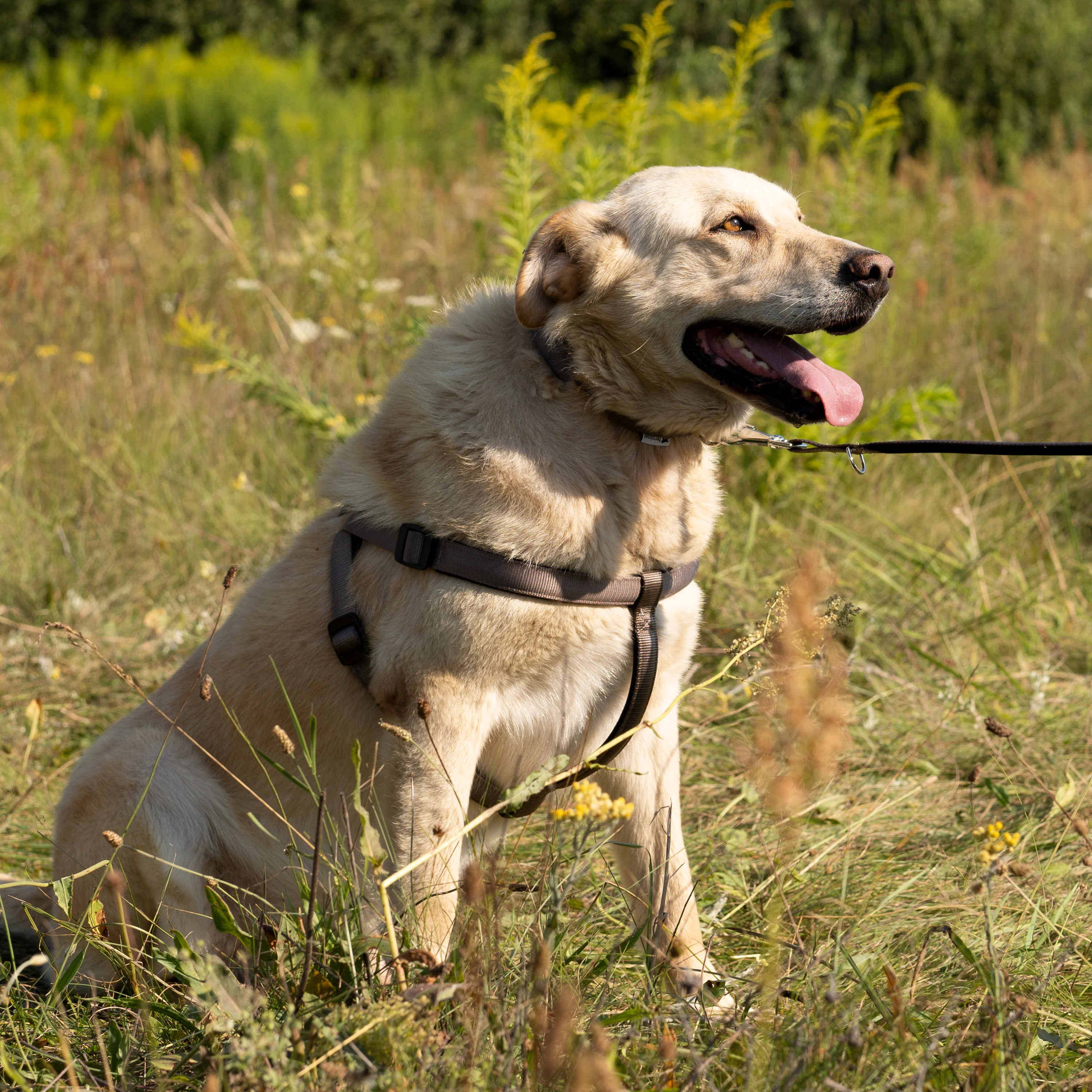 Immagine prodotto 48
