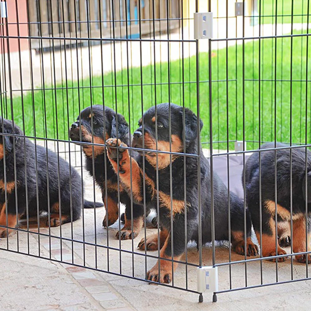 Immagine prodotto 6