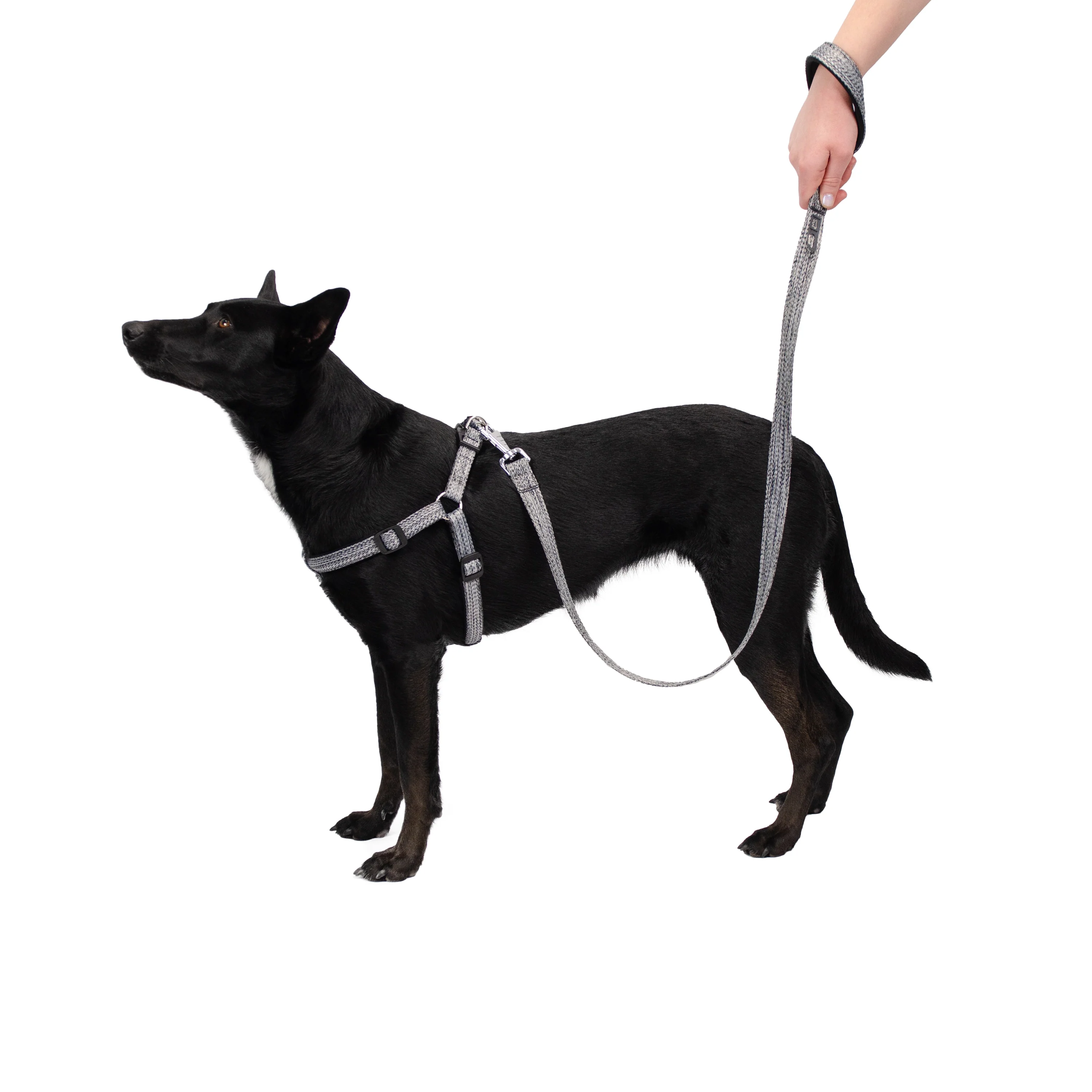 Immagine prodotto 29